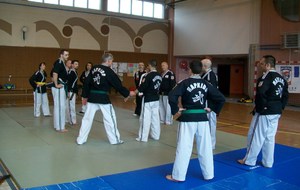 Stage Hapkido Valmont