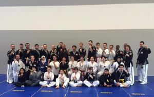 Stage Hapkido Strasbourg 3 et 4 mai 2014