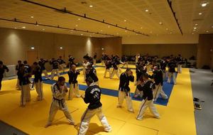 Stage Hapkido au Carreau du Temple