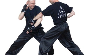 Stage Tai Chi Combat