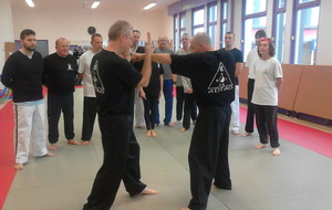 Stage tai Chi Combat 19/03/2016