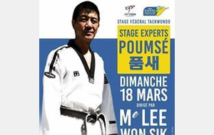 STAGE TECHNIQUE POUMSE AVEC LEE WON SIK