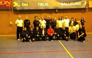 Stage Tai Chi Chuan 2 décembre 2018