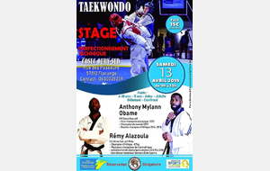 Stage Taekwondo combat Florange