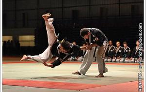 51d461fab47c3_techniquehapkido.jpg